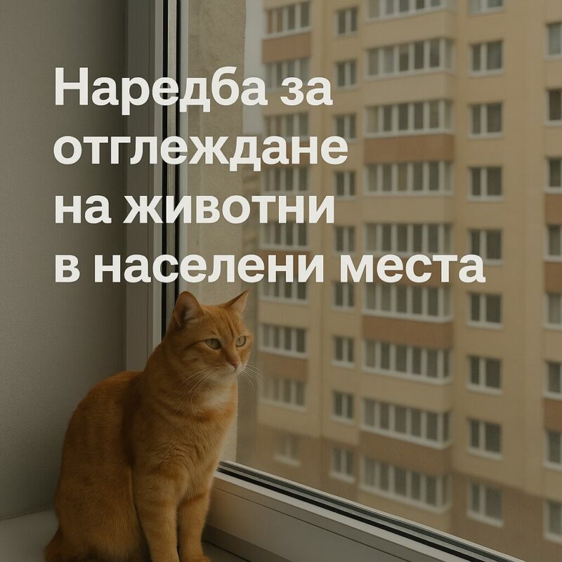 Наредба за отглеждане на животни в населени места: правила, глоби и капани за стопани и съседи